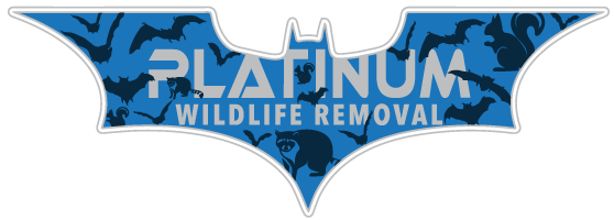Wildlife Removal Mayville