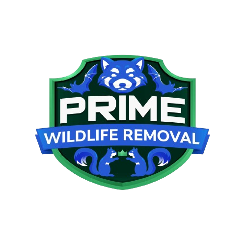 Wildlife Removal Mayville